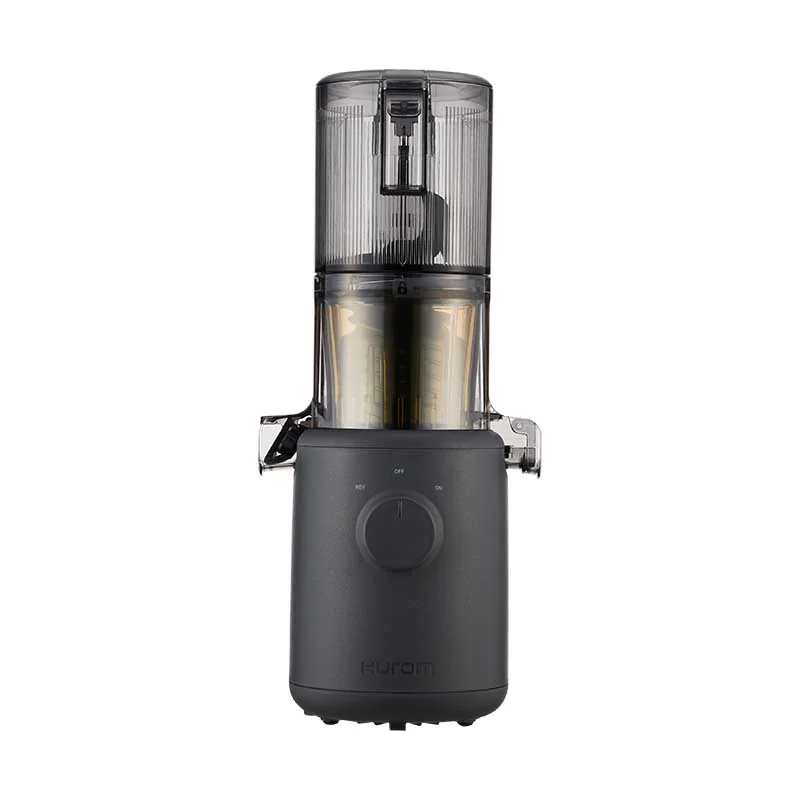 Hurom H310A Slow Juicer in Anthrazit